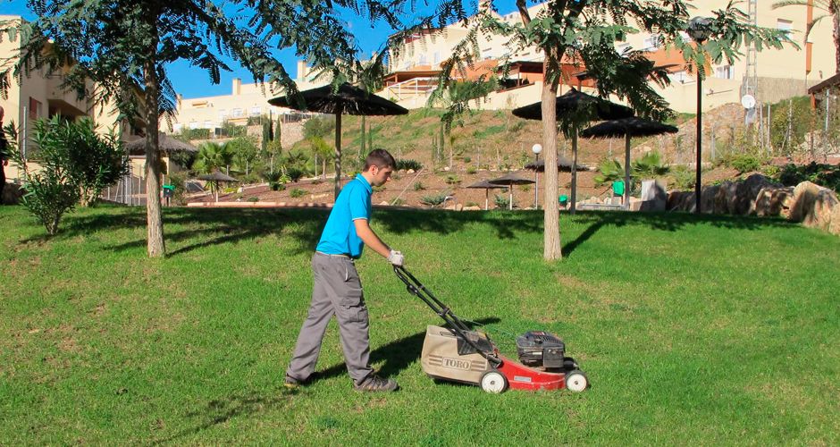 Mantenimiento de jardines Mantenimiento de jardines