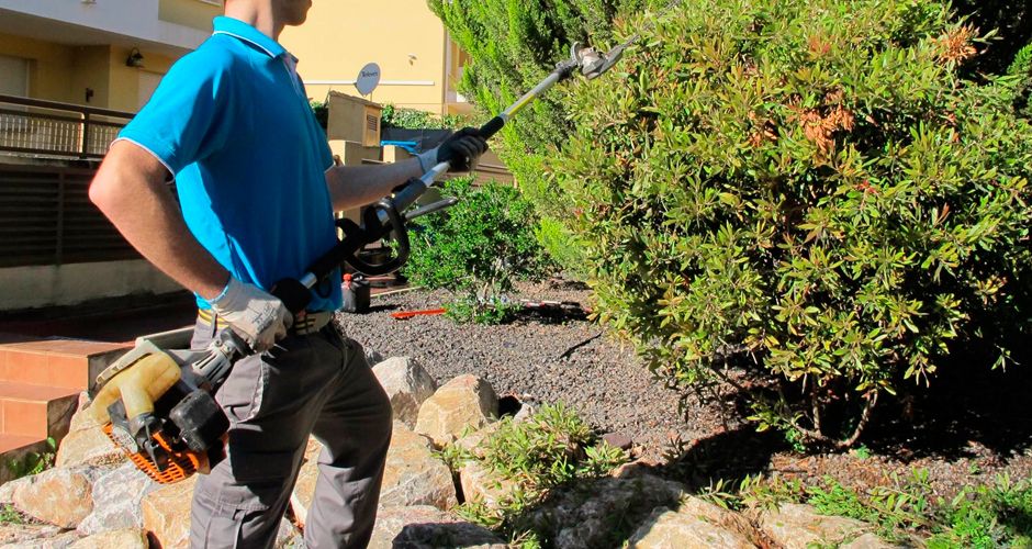 Mantenimiento de jardines Mantenimiento de jardines