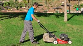 Mantenimiento de Jardines Mantenimiento de Jardines